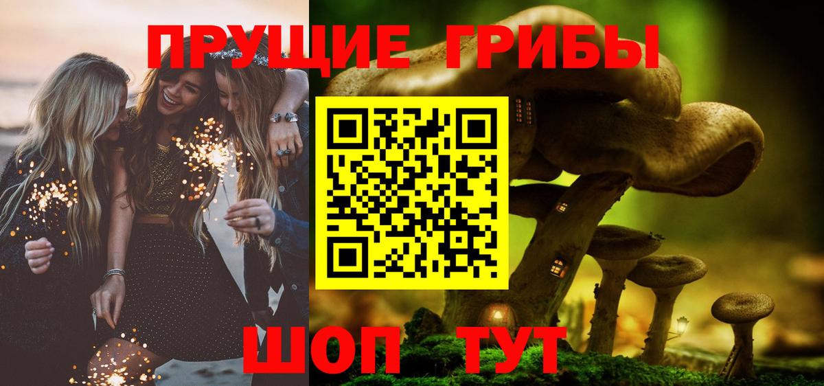 Псилоцибиновые грибы Psilocybe  продажа наркотиков  Камышлов  Вход с VPN 